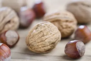 Studio Shot Of Nuts Imprime: Walnuts and hazelnuts