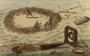 Farm Animal Illustration Imprime: Threshing corn using a horse pulling a sledge