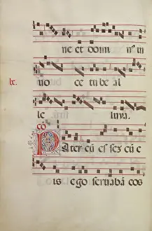 Italian Renaissance Manuscripts Imprime: Decorated Initial P
