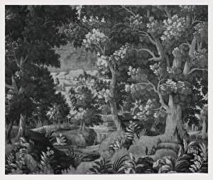 Nature Landscapes Imprime: Landscape stream