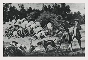 Wild Boar Hunt Imprime: quarry