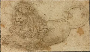 Impresión enmarcada : Estudio de un León Impresión enmarcada : Estudio de un León