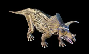 Animal Anatomy Illustration Imprime: 3D rendering of Triceratops with skeleton in ghost effect