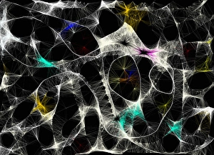 Digital Artwork Background Imprime: Abstract wavy lines pattern