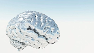 Human Nervous System Illustration Imprime: Binary Brain. 3D rendered