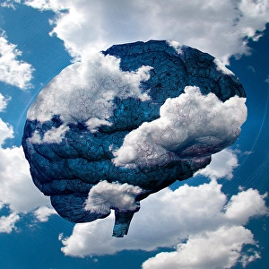 Business Idea Generation Imprime: Brain Cloud