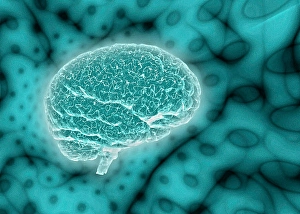 Biomedical Illustrations Of The Brain Imprime: Brain on psychedelic background