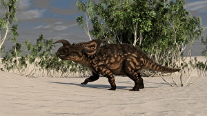 Cretaceous Era Animals Imprime: Brown Einiosaurus in a desert environment