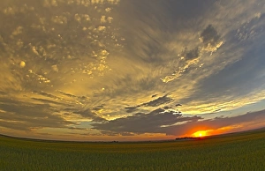 Sunset Over Farmland Imprime: Cloudscape at sunset, Alberta, Canada