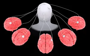 Central Nervous System Anatomy Imprime: Conceptual image of multi-brain processing