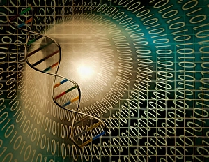 DNA Double Helix Structure Imprime: DNA chain inside tunnel of binary code