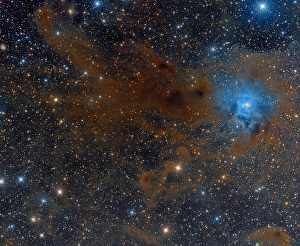 Stellar Evolution Process Imprime: The Iris Nebula in Cepheus