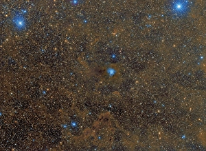 Cepheus Constellation Imprime: The Iris Nebula in Cepheus