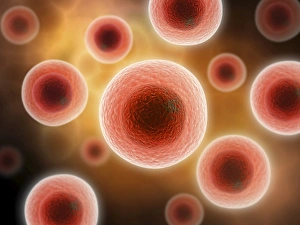 Biomedical Illustrations Imprime: Microscopic view of cell