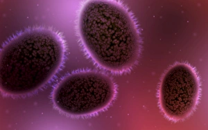 Smallpox Virus Imprime: Microscopic view of samllpox