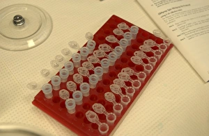 Biomedical Science Images Imprime: Rack of test tubes