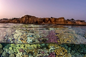 Tropical Ocean Ecosystems Imprime: An over under split in the Red Sea