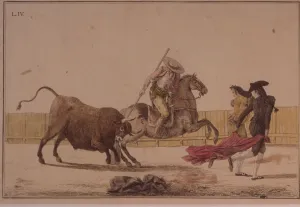 Traditional Bullfighting Imprime: 2684829