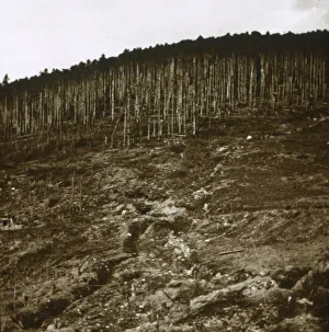 Early 20th Century Conflict Imprime: Alsace, c1914-c1918