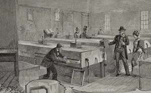 Black And White Bird Images Imprime: Artificial hatching of hen eggs by the Baker method
