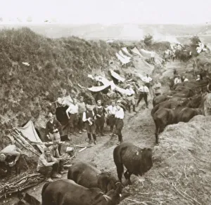 World War I Cavalry Imprime: Cavalry, c1914-c1918