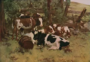 Amalgamated Press Ltd Books Imprime: Contentment, c1903, (c1930). Creator: David Gauld