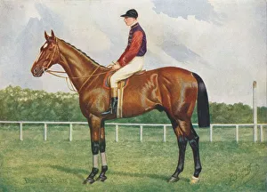 British Thoroughbred Horses Imprime: Diamond Jubilee, c1905 (c1910). Artist: Henry Powell Palfrey