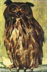 Cigarette Card Album Imprime: Eagle owl, c1928. Creator: Unknown