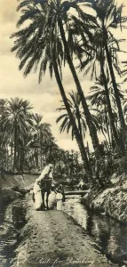 Vintage Middle East Images Imprime: Egypt - Rest for Drinking, c1918-c1939. Creator: Unknown