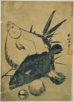 Japanese Heritage Woodblock Prints Imprime: Flatfish, scorpion fish, and shells, from an untitled series of chuban prints, Japan, c