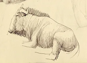 Shirley Markham Artwork Imprime: Gnu, c1951. Creator: Shirley Markham