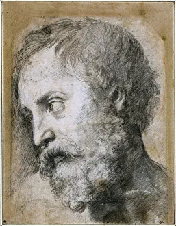 Cabeza de un Apóstol (Estudio para la Transfiguración), 1519-1520. Artista: Rafael (1483-1520).