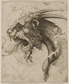 Renaissance Mythology Imprime: Head of a Chimera