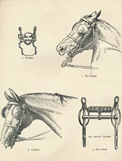 Horse Riding Equipment Imprime: Horse bits, good and bad, c1909 (c1910)
