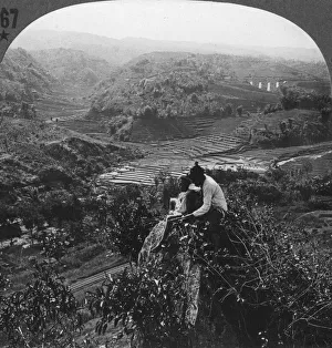 Indonesian Countryside Imprime: Java, Indonesia, c1900s