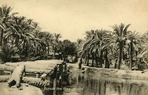 Impresiones de A lo largo de la Kora, Basra, c1918-c1939. De un álbum de postales Imágenes con fecha de febrero de 2019: A través de la Kora, Basra, c1918-c1939. Creador: Desconocido.