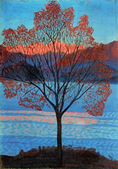 Oil On Wood Landscapes Imprime: Landscape at the First Rays of Sun
