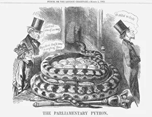 London Zoo Animals Imprime: The Parliamentary Python, 1862