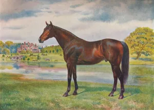 British Thoroughbred Horses Imprime: Persimmon, c1905 (c1910)