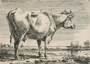 Heritage Art From The Netherlands Imprime: No title. (Cattle study.), c.1798. Creator: Pieter Gerardus van Os