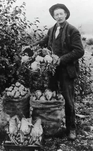 Verduras, entre c1900 y c1930. Creador: Desconocido.