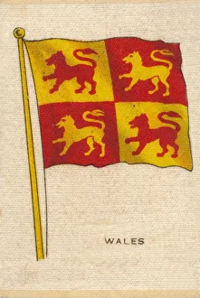 Welsh Flag Imprime: Wales, c1910