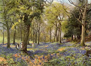 Hidracinas Salvajes en un Bosque de Surrey, 1906.