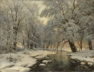 Hoarfrost On Trees Imprime: Winter in the Forest, c1930