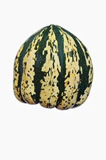 Cucurbita Pepo Imprime: Squash, Winter squash Sweet Dumpling, Cucurbita pepo Sweet Dumpling