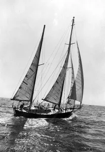 0000a0099 Imprime: El participante francés en la carrera de vela alrededor del mundo Round The World Yacht Race Sunday Times Golden Globe
