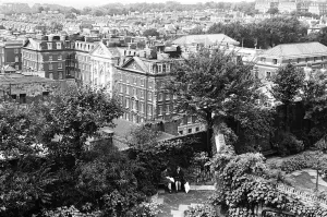 Los jardines de la azotea en Derry y Toms en Kensington High Street, Londres.