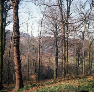 Alderley Edge, Cheshire. Abril 1974