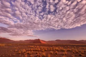 African Desert Landscapes Images Imprime: Desert