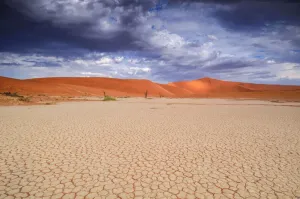 Namibia Imprime: Desert